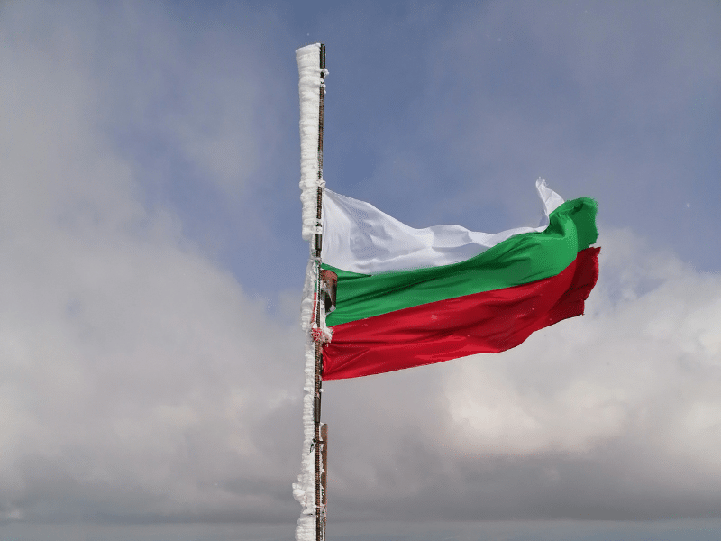 Ready Made Company Bulgaria