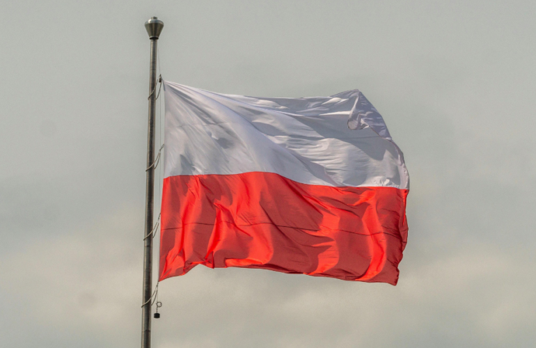 types of companies in poland