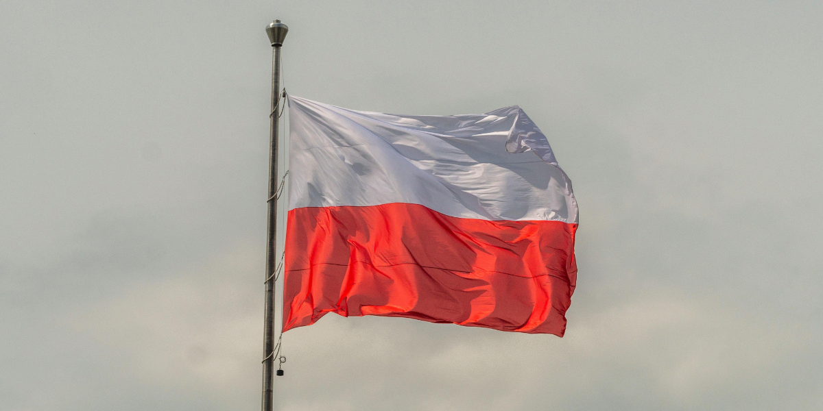 types of companies in poland